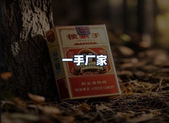 专业团队办公环境